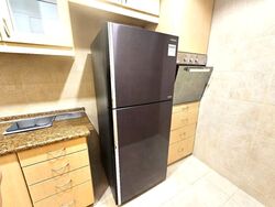 Banyan Condominium (D5), Condominium #580718571
